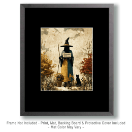 Respect Nature Witch #1 Art