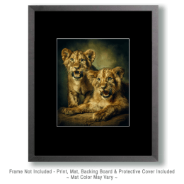 Two African Lion Cubs Practicing Their Roars Art