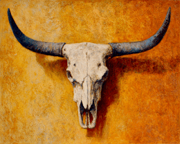Longhorn Skull