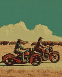 Early Motorbikes & Bison