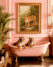 Tiger Cubs in Pink Bathtub