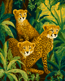 Cheetah Cubs