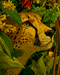 Hidden Cheetah
