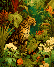Jungle Cheetah