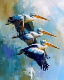 Three Pelicans Flying