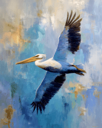 Pelican Flying