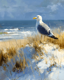 Lone Seagull