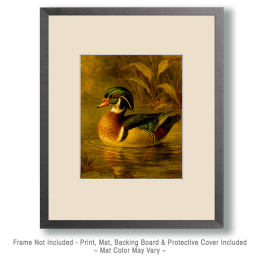 Vintage Wood Duck Painting Art