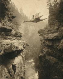 Fairy Riding a Pterodactyl - Antique Style Photo