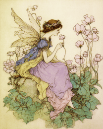Fairy with Enjoying Flower