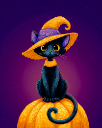 Black Cat Witch on a Pumpkin