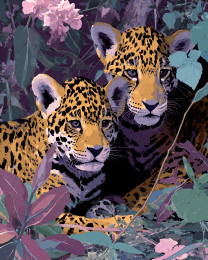 Lavender Jaguar Cubs