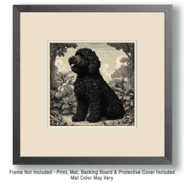 Vintage B&W Portie Art