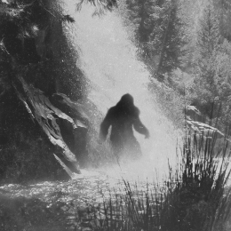 Bigfoot Under Waterfall art print