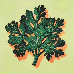 Cilantro Art Print