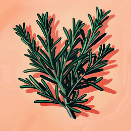 Rosemary Art Print
