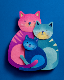 Content Cat Family