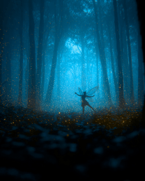 Lone Dancer Fairy