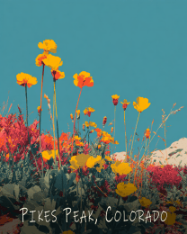 Minimalist Pikes Peak Wildflowers