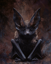 Bat Portrait