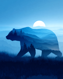 Wild Bear Spirit
