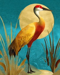 Ful Moon Sadhill Crane