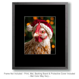Chicken in Santa Hat Art