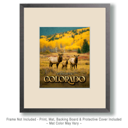 Evergreen Elk Meadow Art