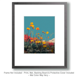 Minimalist Pikes Peak Wildflowers Art