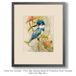 Watercolor Kingfisher Art