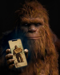 Bigfoot Hitchhiking