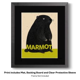 Playful Marmot Art Print