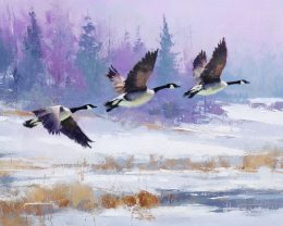 Three Canada Geese Winterscape