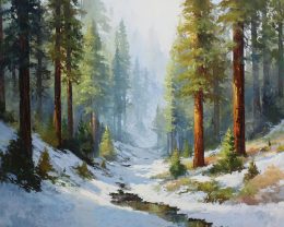 Deep Woods Creek Winterscape
