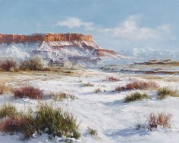 Mesa Winterscape