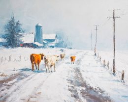 Cows Escaped Winterscape