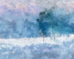 Birch Trees on Stormy Wintry Day