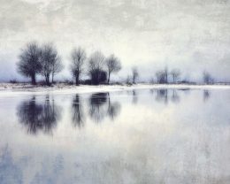 Wintry Shoreline