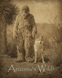 Arizona's Wild Bigfoot & Coyote