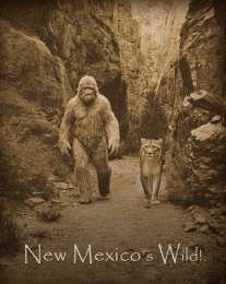 New Mexico's Wild Bigfoot & Mountain Lion