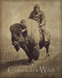 Colorado's Wild Bigfoot & Bison