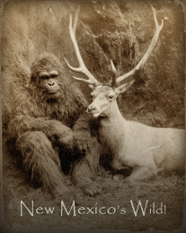 New Mexico's Wild Bigfoot & Bull Elk