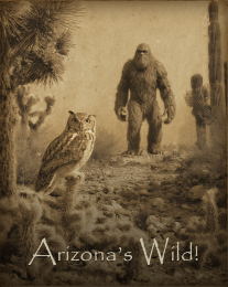 Arizona's Wild Bigfoot & Owl