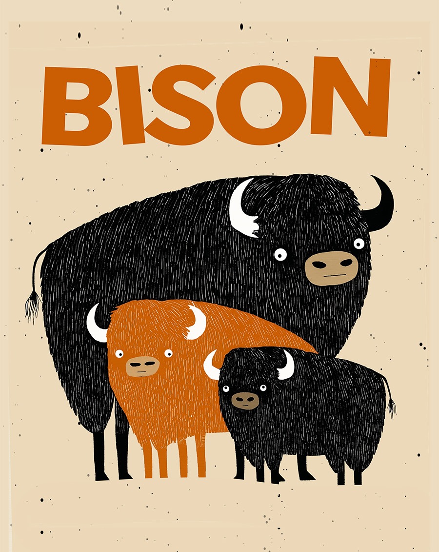 Playful Bison Art Print