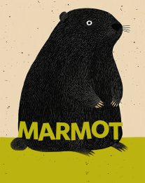 Playful Marmot Art Print