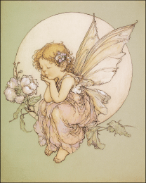 Full Moon Fairy Baby