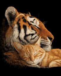 Tiger & Cat