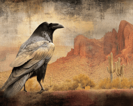 Vintage Sonoran Desert Raven