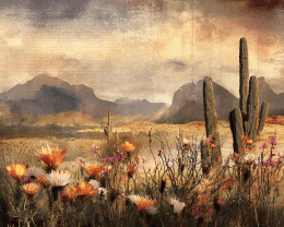 Sonoran Desert Wildflowers