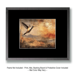 Sonoran Desert Hummingbird in Flight Art
